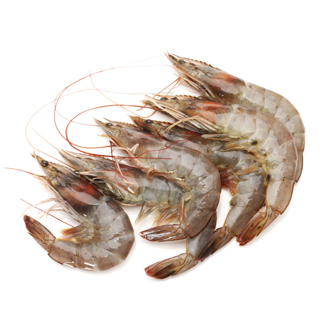 Wild Shrimp (under 12 count per lb) - 5lb Box