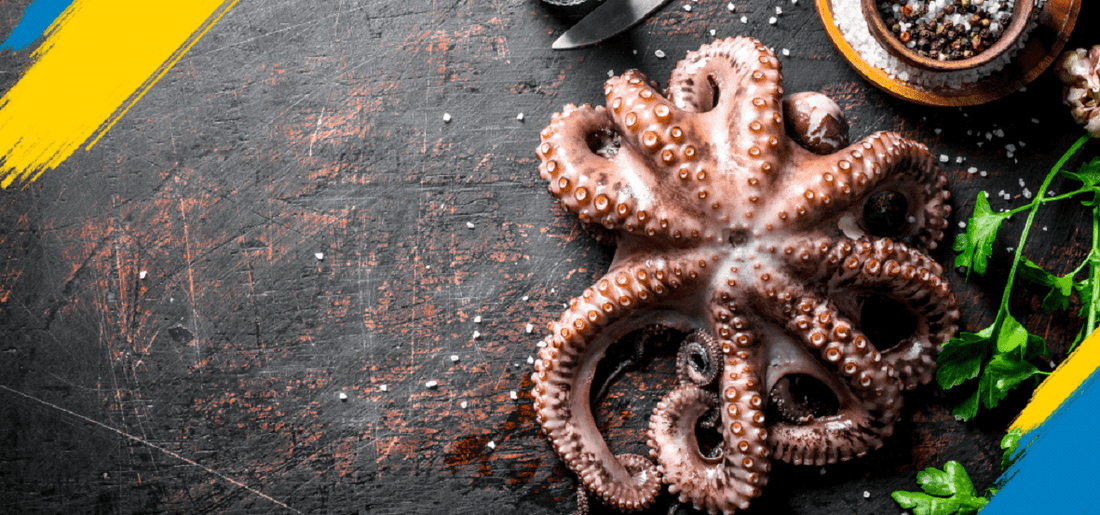 Tips for Purchasing Fresh Octopus for Sale in New York, USA