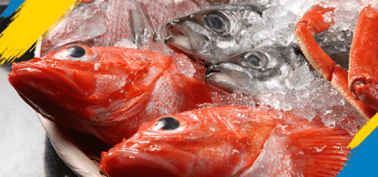 Ordering Fish Through Online Delivery in New York, USA? Here's What You Need To Know