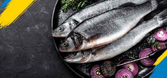 How You Can Benefit From Online Fish Delivery in New York, USA