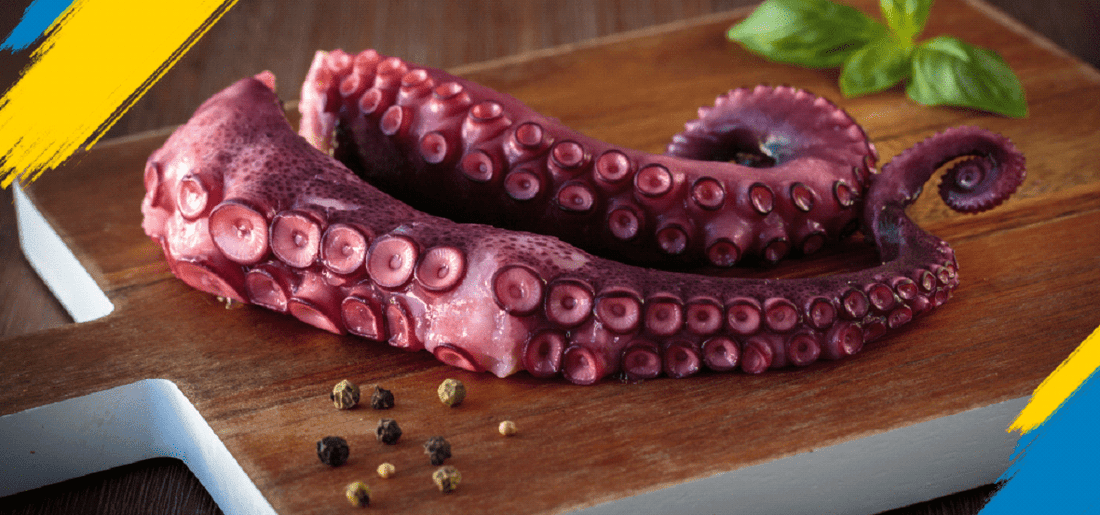 Cooked Octopus for Sale in New York, USA With Excellent Flavor and Consistency