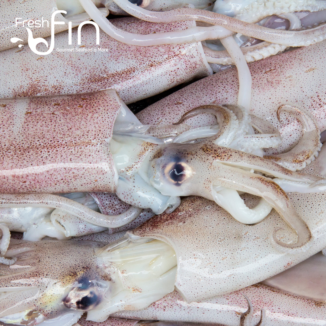 Last Minute Christmas Shopping? Spanish Octopus, Sepia, Squid & More!