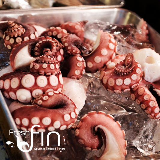 The Best Spanish Octopus in NYC! Fresh Fin Gourmet