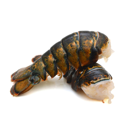Buy Cooked Crustaceans For Sale in New York | Fresh Fin Gourmet