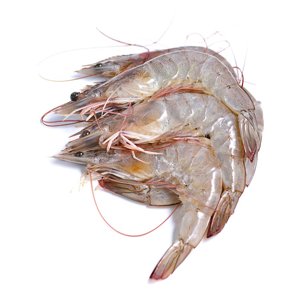 Farm Shrimp (under 12 count per lb) - 5lb Box