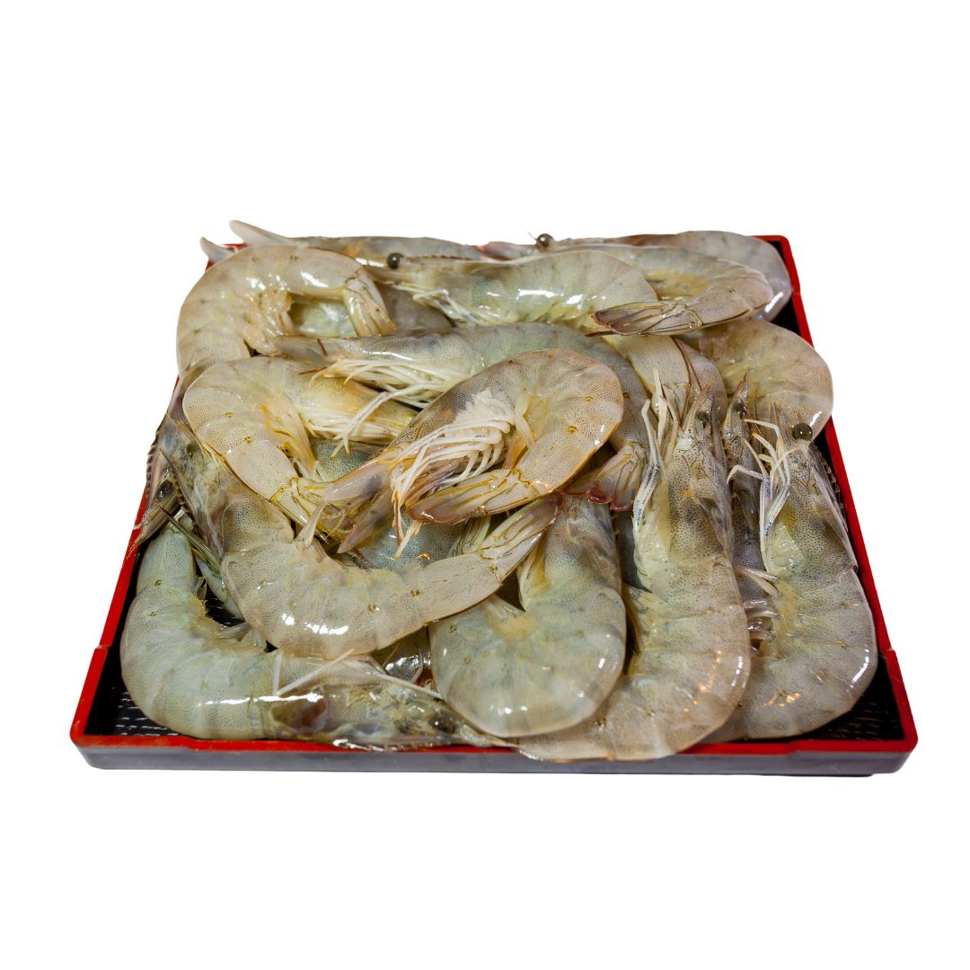 Wild Shrimp (under 15 count per lb) - 5lb Box