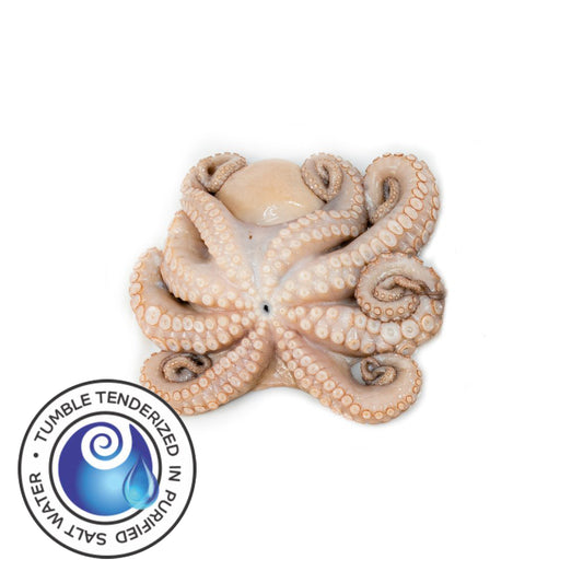 Tenderized Wild Octopus 2-4 lbs (T5)