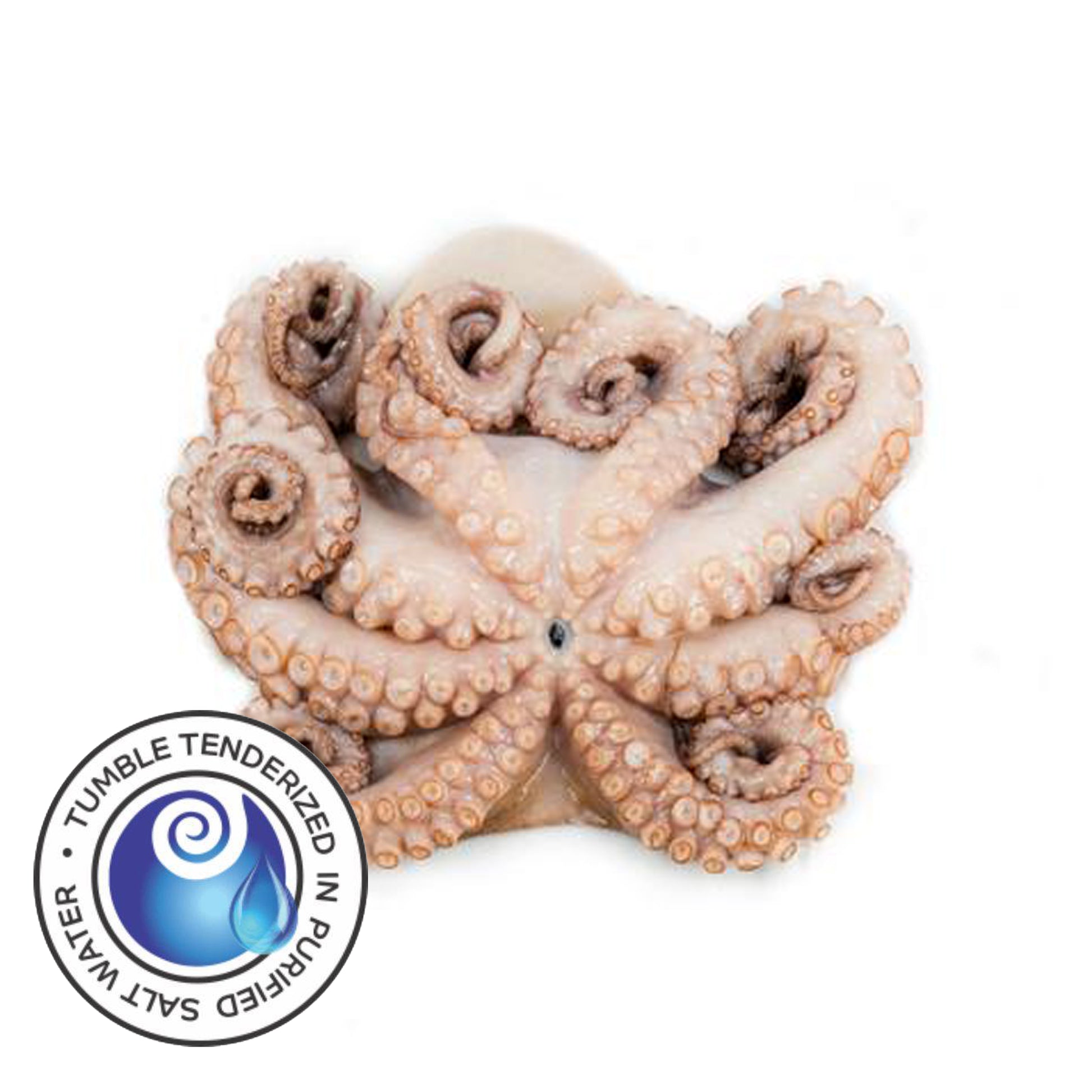 Tenderized Wild Octopus 4-6 lbs (T3)