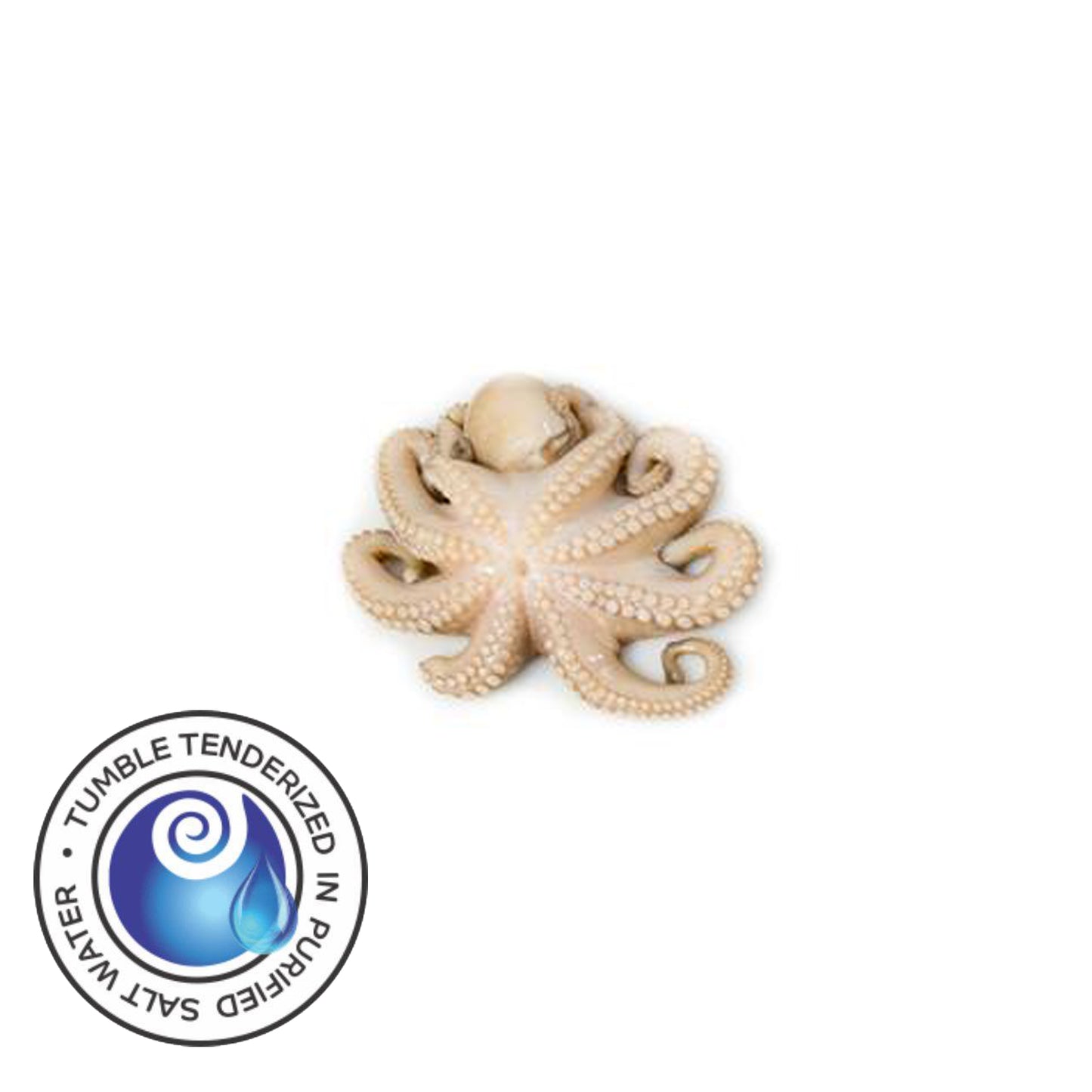 Tenderized Wild Octopus 5-10 oz (T9)