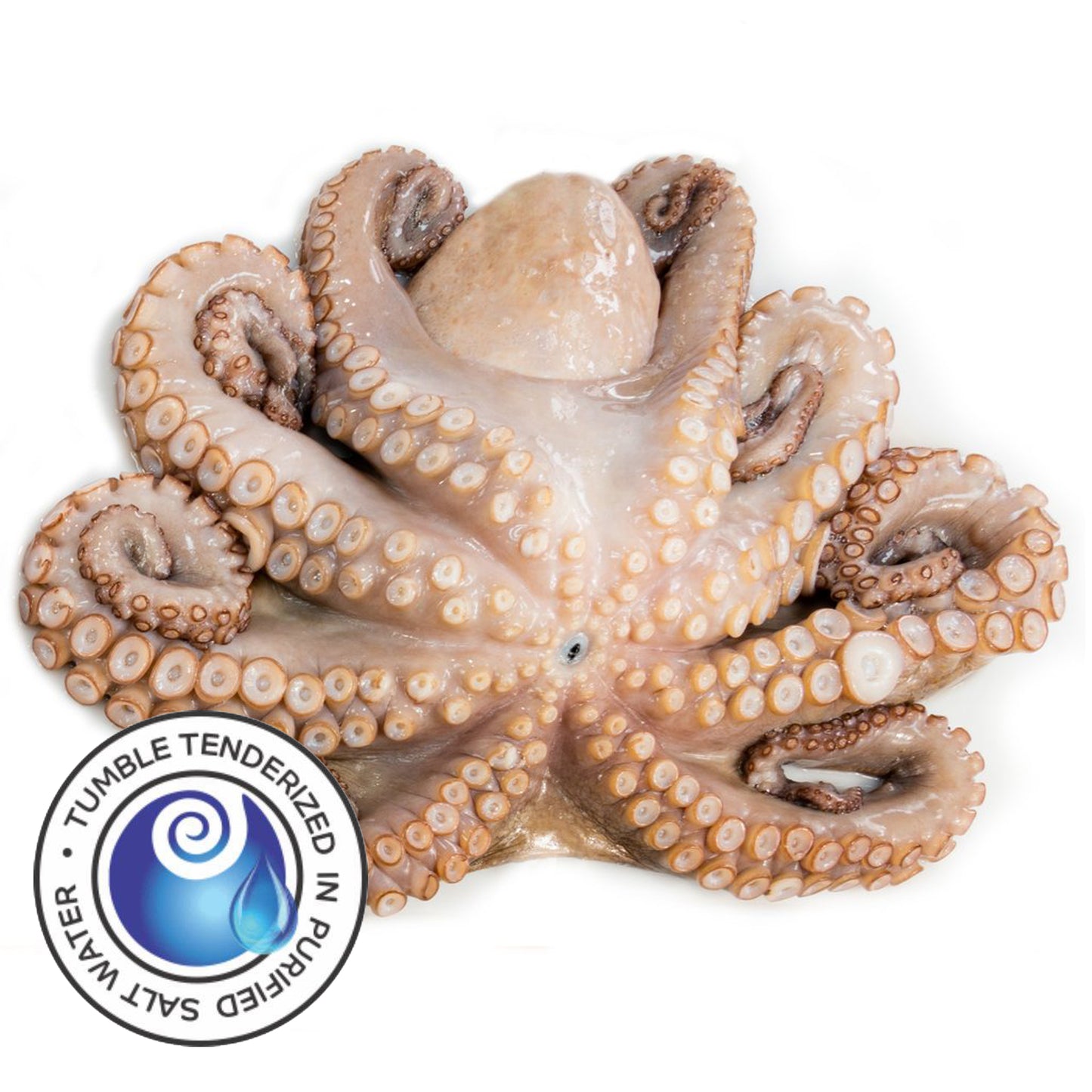 Tenderized Wild Octopus 6-8 lbs (T2)