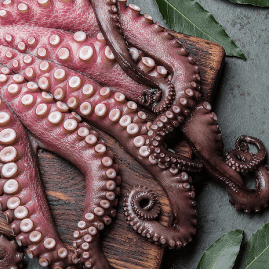Raw Eight (8) pieces Octopus Legs